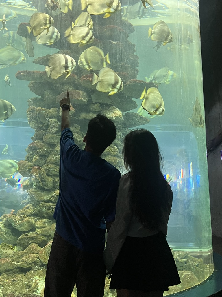 Đi chơi thuỷ cung ở Nha Trang